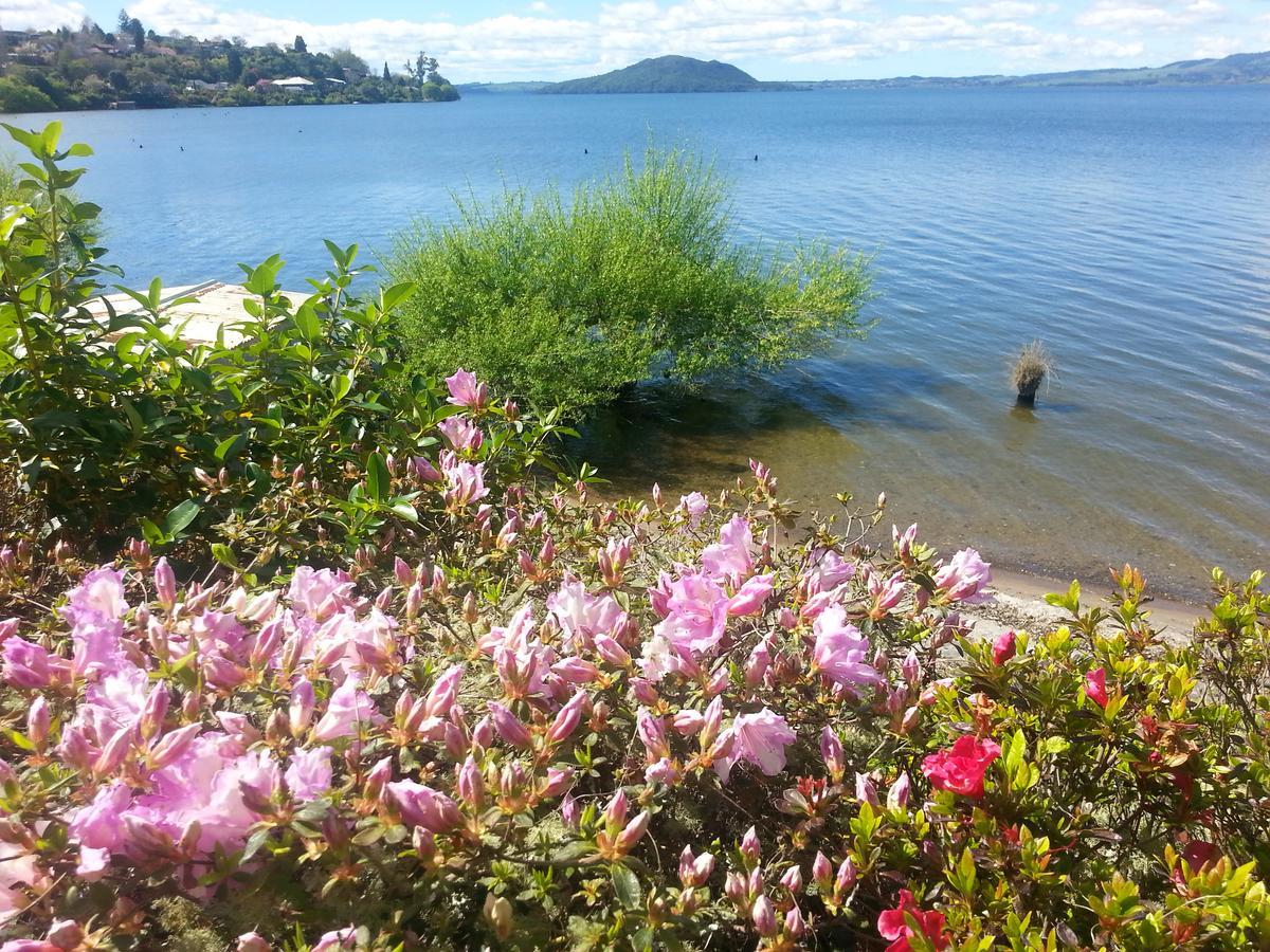 Koutu Beach Bed And Breakfast Rotorua Luaran gambar